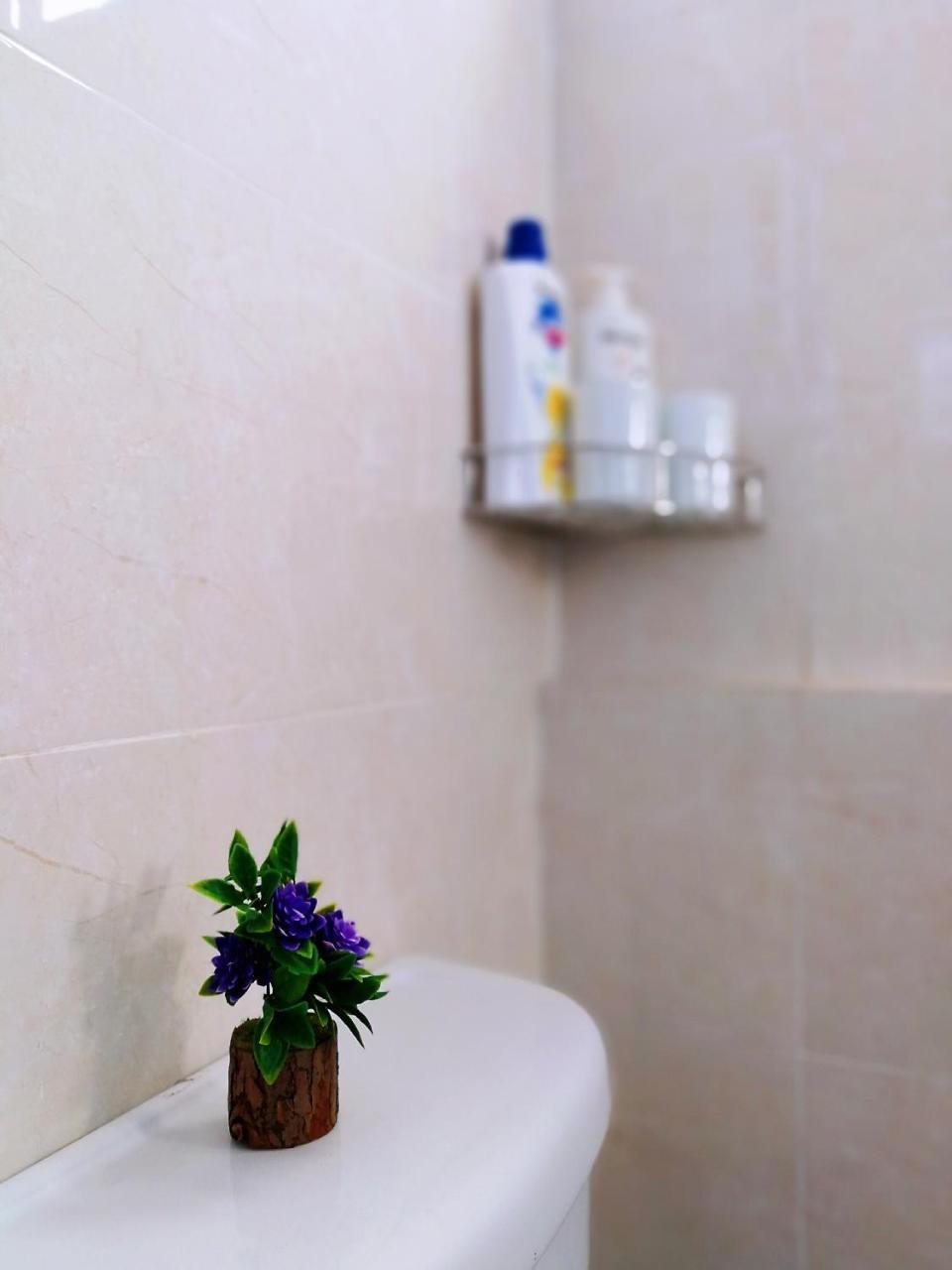 Central Vienna Hotel Viêng Chăn Ngoại thất bức ảnh